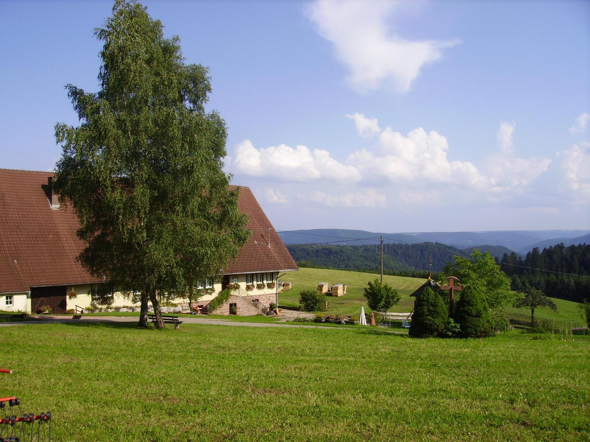 äckerhof Ferienhaus Wolfach